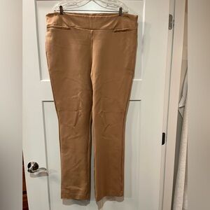 Stylish Tan Pants 2X